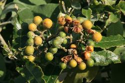 Image: Trevor James © Trevor James 